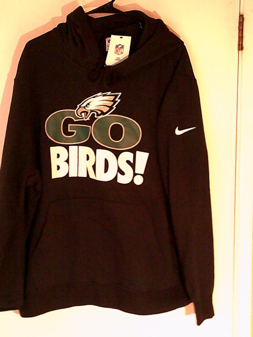 NEW NIKE NFL FOOTBALL "Philadelphia Eagles GO BIRDS PO Hoodie" MEN'S GREEN 2XL